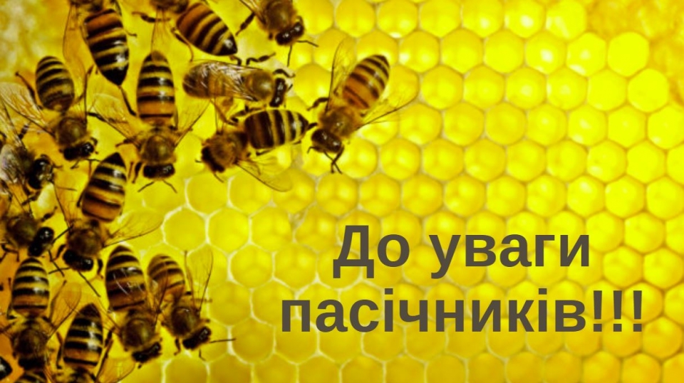 Титульне фото